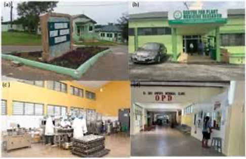a collage of the centre for plant and medicine research